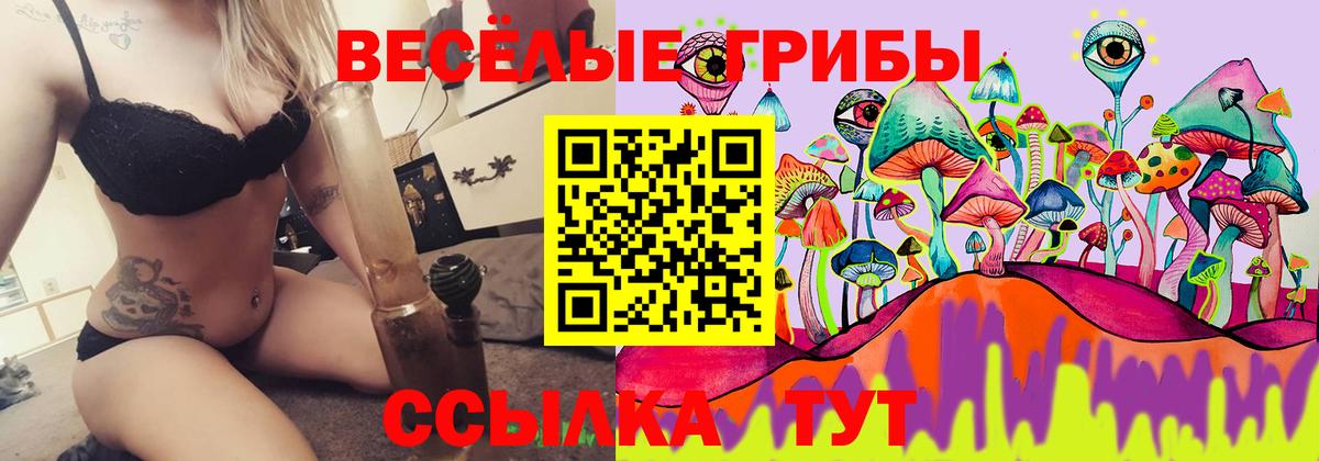 Псилоцибиновые грибы Cubensis Геленджик