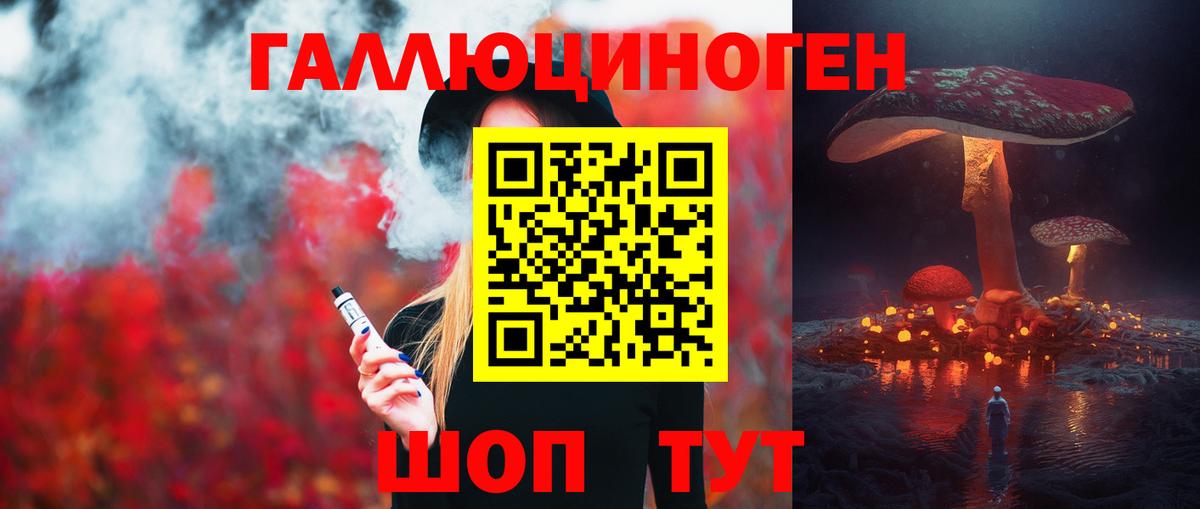 Геленджик  Псилоцибиновые грибы Psilocybe  как найти закладки  Вход с VPN 